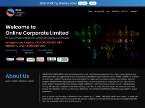 Online Corporate Limited - 0.85% hourly for 120 hs;