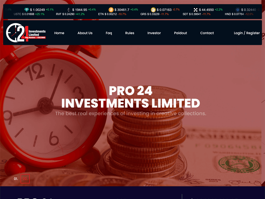 Pro 24 Investments Limited - 100.5% after 24 hours, $20;